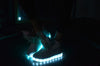 Led Shoes For Women A058 - FlashShoes.com - 2